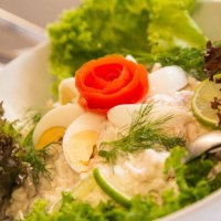 Gutsschänke Vorspeise Gutsschänke Vorspeise