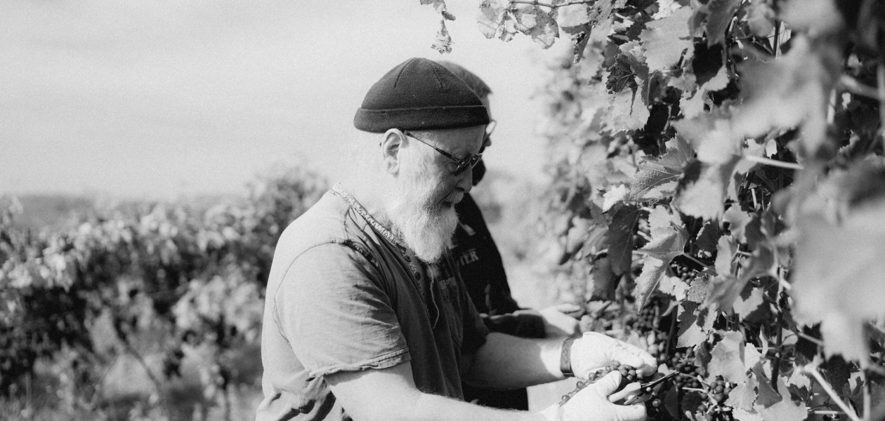 © Ökologischer Weinbau Huster © Ökologischer Weinbau Huster