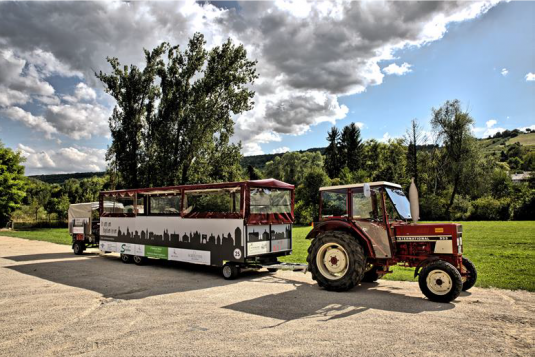 Im Planwagen auf den Spuren der Ingelheimer Weine, © Rainer Oppenheimer/IKuM GmbH Im Planwagen auf den Spuren der Ingelheimer Weine, © Rainer Oppenheimer/IKuM GmbH