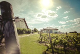 Aussenansicht, © Gästehaus Hagemann Aussenansicht, © Gästehaus Hagemann