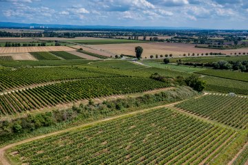 Bechtheimer Geyersberg Bechtheimer Geyersberg