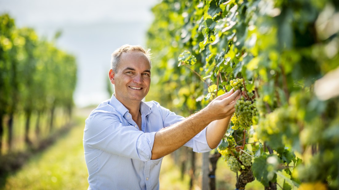 © Weingut Raddeck © Weingut Raddeck