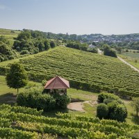 Aussichten mit Engelstadt Aussichten mit Engelstadt