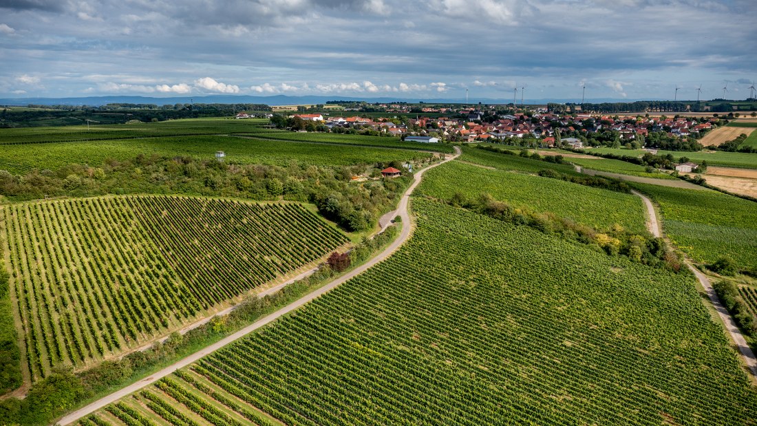 Weinolsheimer Kehr Weinolsheimer Kehr