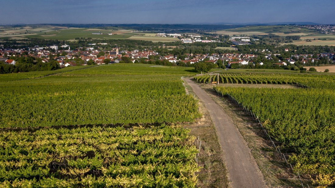 Nieder-Olmer Klosterberg Nieder-Olmer Klosterberg