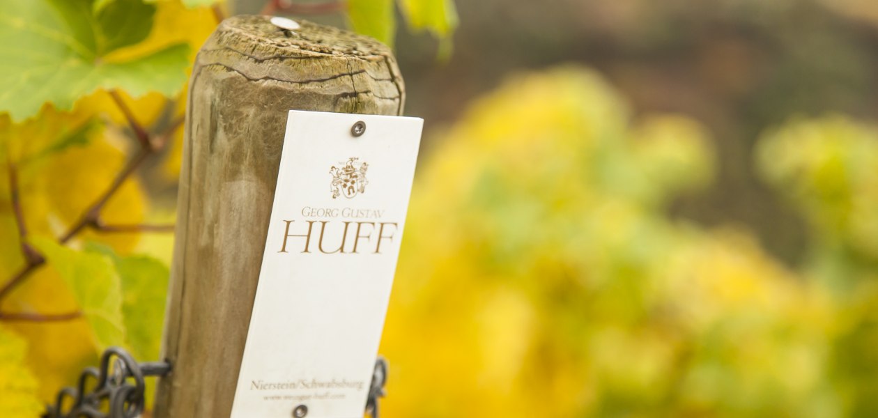 © Weingut Georg Gustav Huff © Weingut Georg Gustav Huff