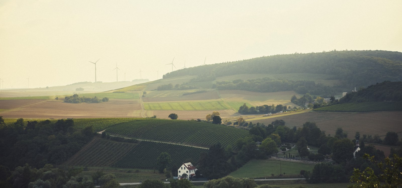 Steitz_RheinhessischeSchweiz©peterbender_541, © Peter Bender Steitz_RheinhessischeSchweiz©peterbender_541, © Peter Bender
