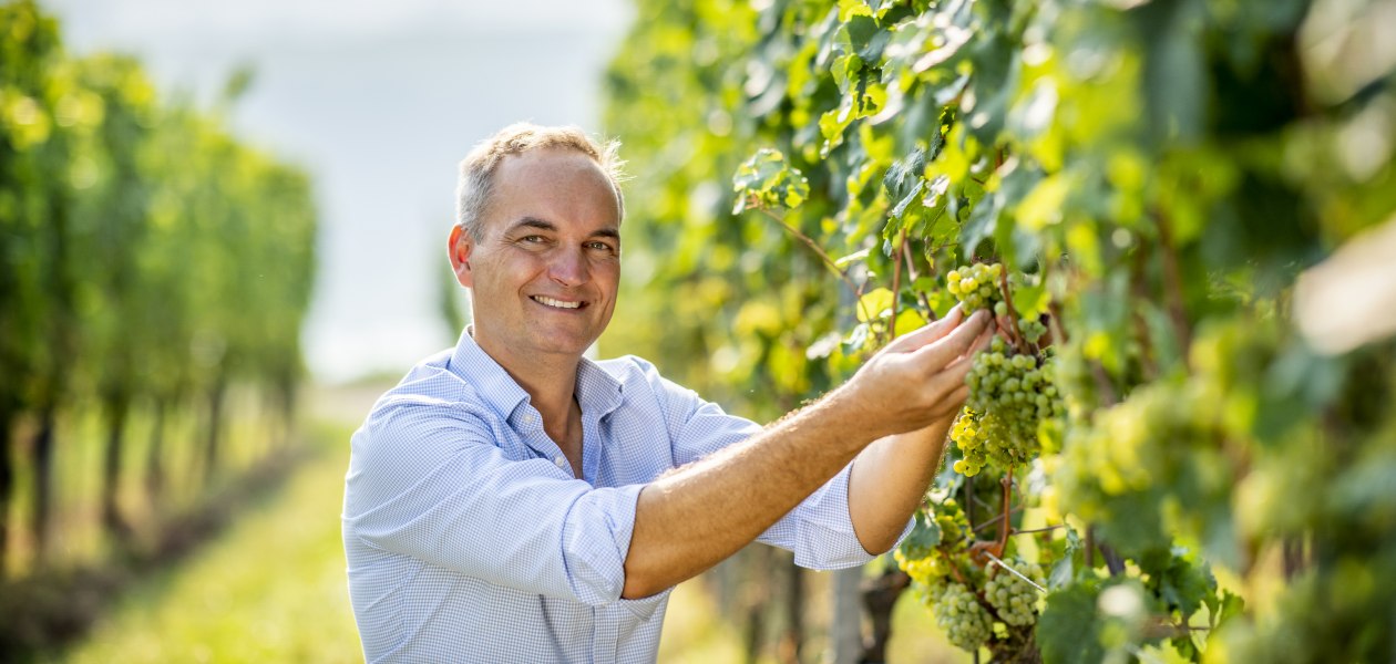 © Weingut Raddeck © Weingut Raddeck