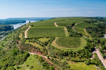 Nackenheimer Rothenberg Nackenheimer Rothenberg