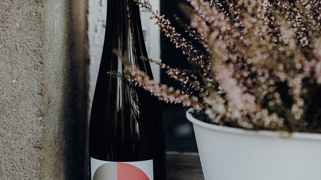 weingut_hungermueller_rheinhessen-917, © Weingut Hungermüller weingut_hungermueller_rheinhessen-917, © Weingut Hungermüller