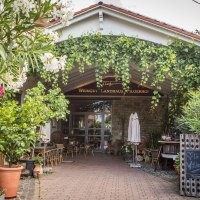 WeingutFluhr-97 WeingutFluhr-97