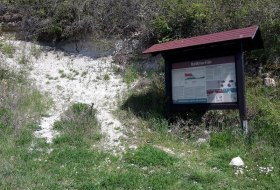 Bodenprofil Kalktertiär © Daniel Schmidt Bodenprofil Kalktertiär © Daniel Schmidt