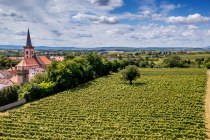 Pfeddersheimer Sankt Georgenberg Pfeddersheimer Sankt Georgenberg