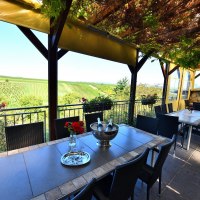 Weingut Lich Terasse 1 © Weingut Lich Weingut Lich Terasse 1 © Weingut Lich