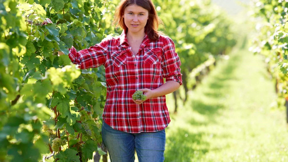 changer 21, © Weingut Wechsler changer 21, © Weingut Wechsler