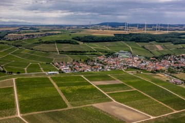 Lonsheimer Mandelberg Lonsheimer Mandelberg