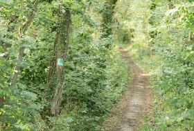 Winternheimer Wäldchen Winternheimer Wäldchen