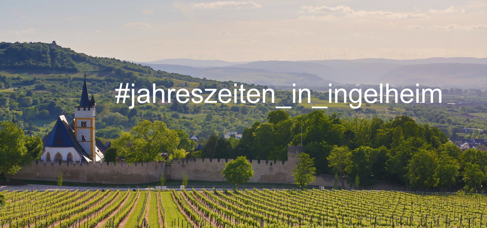#jahreszeiten_in_ingelheim, © Rainer Oppenheimer/Stadt Ingelheim #jahreszeiten_in_ingelheim, © Rainer Oppenheimer/Stadt Ingelheim