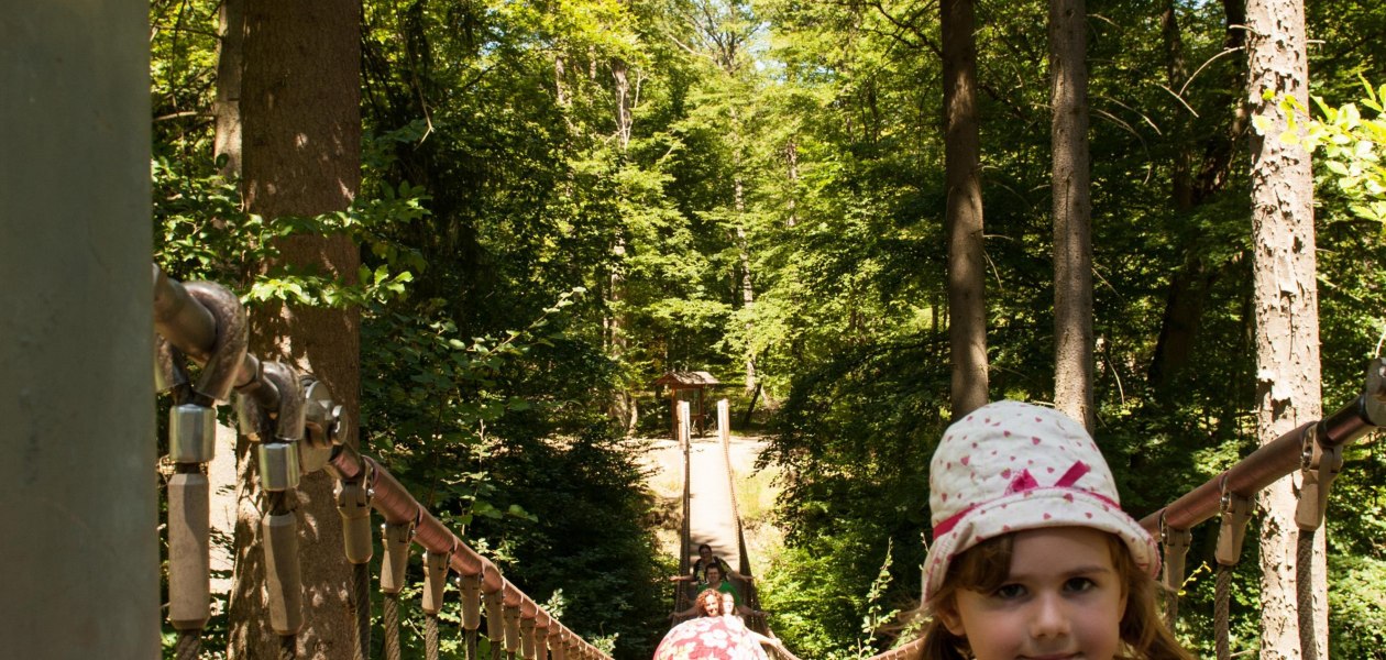 Hängebrücke Binger Wald, © Martin Kämper Quelle Stadt Bingen Hängebrücke Binger Wald, © Martin Kämper Quelle Stadt Bingen