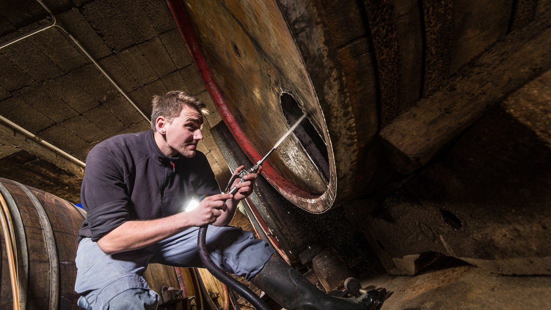 Weingut Boxheimerhof_Winzer, © Weingut Boxheimerhof Weingut Boxheimerhof_Winzer, © Weingut Boxheimerhof