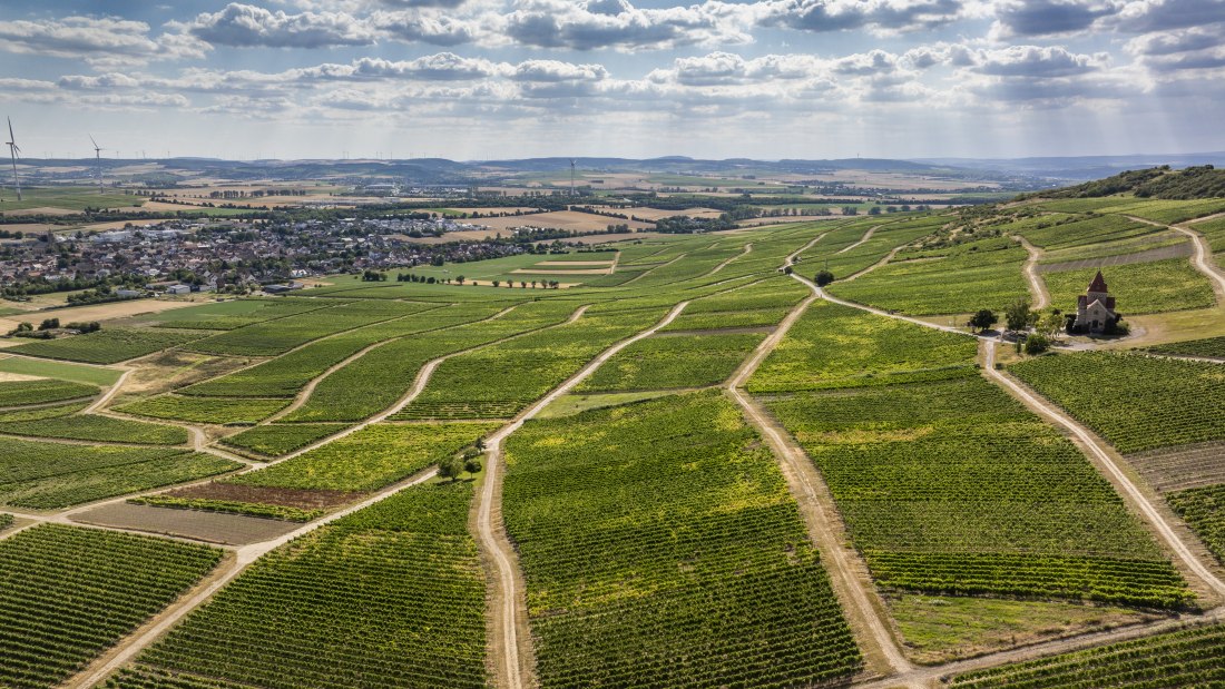 Gau-Bickelheimer Saukopf, © Torsten Silz Gau-Bickelheimer Saukopf, © Torsten Silz