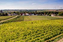 Eppelsheimer Felsen Eppelsheimer Felsen