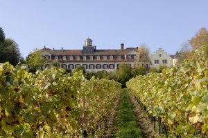 Weingut Schloß Westerhaus_Front, © Weingut Schloß Westerhaus Weingut Schloß Westerhaus_Front, © Weingut Schloß Westerhaus