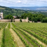 Blick auf die Burgkirche Ober-Ingelheim © Matthias Meerfeld Blick auf die Burgkirche Ober-Ingelheim © Matthias Meerfeld