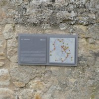 Tafel am Uffhubtor © IKuM GmbH/GK Tafel am Uffhubtor © IKuM GmbH/GK