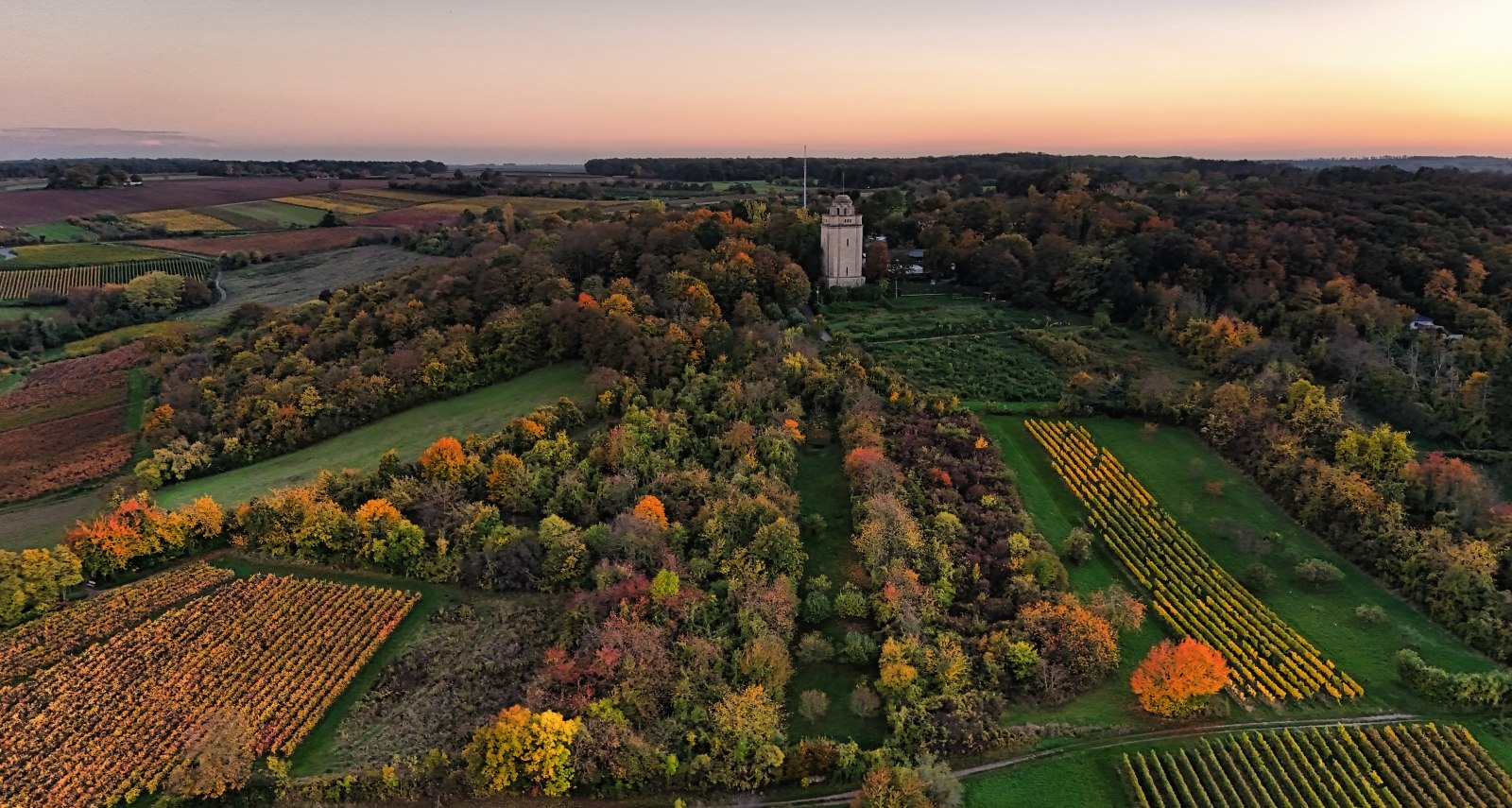 Bismarckturm im Herbst, Drohnenaufnahme, © Stadt Ingelheim_Rainer Oppenheimer Bismarckturm im Herbst, Drohnenaufnahme, © Stadt Ingelheim_Rainer Oppenheimer