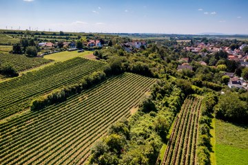 Dexheimer Doktor Dexheimer Doktor