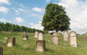 Grabsteine aus Sandstein © Dominik Ketz Grabsteine aus Sandstein © Dominik Ketz