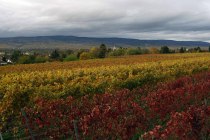 New Andreas Durst, © Andreas thirst New Andreas Durst, © Andreas thirst