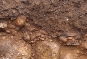 Sand regosol Sand regosol