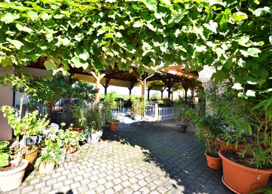 Weinlaube Lich © Weingut Lich Weinlaube Lich © Weingut Lich