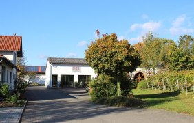 Weingut Holthof_Einfahrt Weingut Holthof_Einfahrt