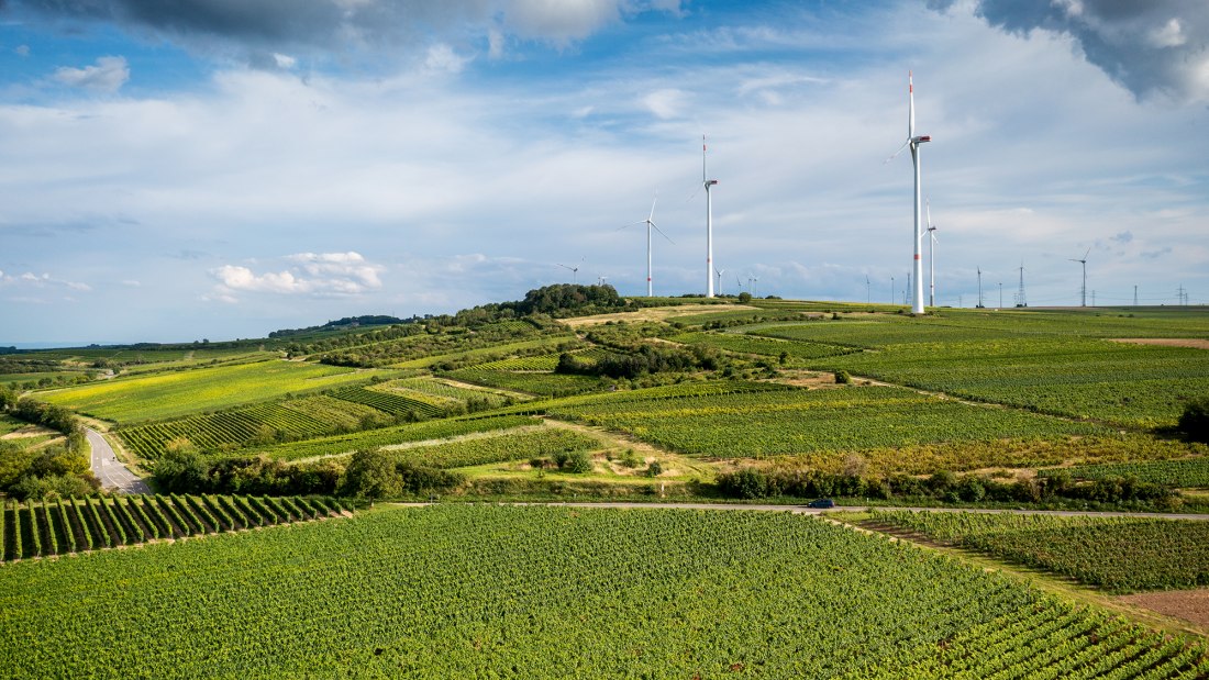 Framersheimer Hornberg Framersheimer Hornberg