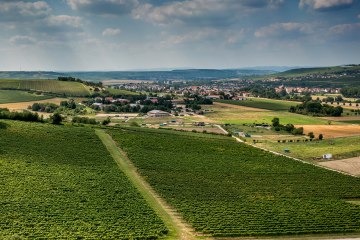 Stadecker Lenchen Stadecker Lenchen