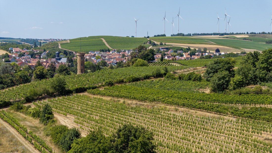 Weinheimer Heiliger Blutberg-146 Kopie Weinheimer Heiliger Blutberg-146 Kopie