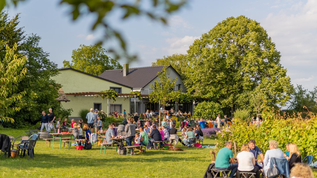 Weinpicknick Weinpicknick