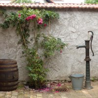 Rose und Pumpe im Hof Rose und Pumpe im Hof