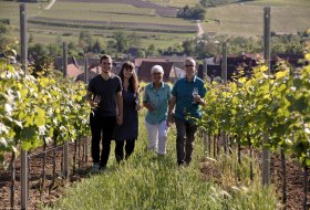 Weingut Baum, © Weingut Baum Weingut Baum, © Weingut Baum