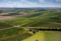 Flonheimer Binger Berg Flonheimer Binger Berg