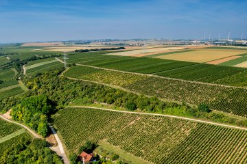 Laubenheimer Johannisberg Laubenheimer Johannisberg