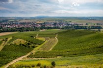 Gau-Odernheimer Herrgottspfad Gau-Odernheimer Herrgottspfad