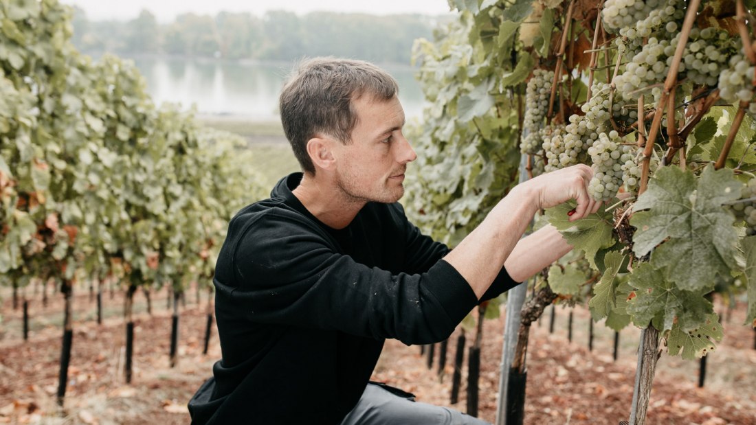 InesBarwig_WeingutEimermann-761 InesBarwig_WeingutEimermann-761