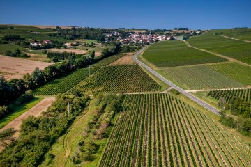 Engelstadter Adelpfad Engelstadter Adelpfad