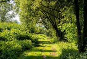 Naturschutzgebiet Gartenwiese © Dominik Ketz Naturschutzgebiet Gartenwiese © Dominik Ketz