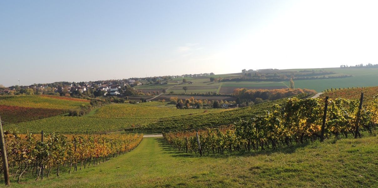 Weingut Seck_Dolgesheim, © Weingut Seck Weingut Seck_Dolgesheim, © Weingut Seck