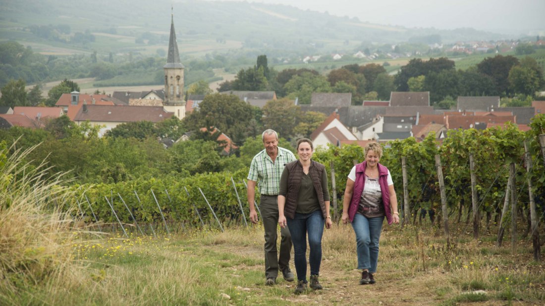 schuck-1, © Weingut Schuck Sonnenhof schuck-1, © Weingut Schuck Sonnenhof